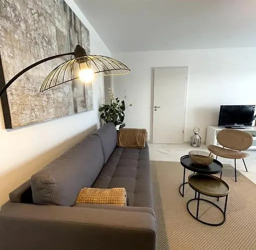 Magnifique Appartement A La Frontiere Suisse