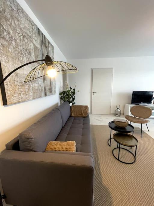 Magnifique A La Frontiere Suisse Apartment