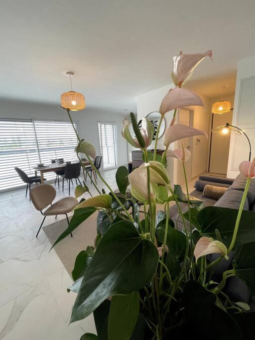 Apartment Magnifique A La Frontiere Suisse