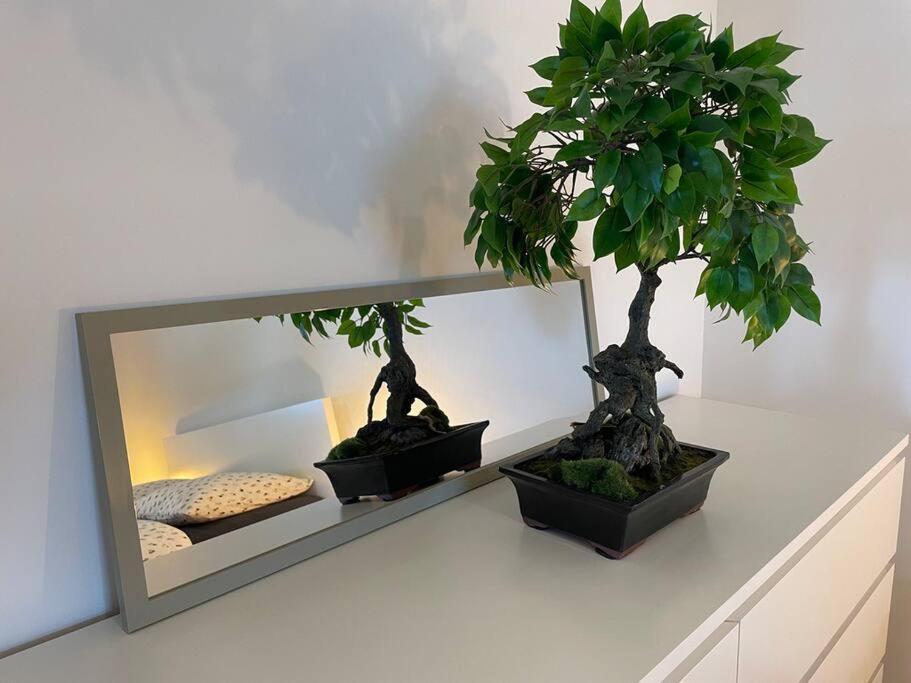 Magnifique A La Frontiere Suisse Apartment Saint-Louis (Haut-Rhin)