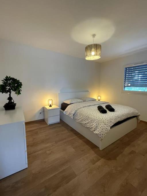 Magnifique A La Frontiere Suisse Apartment