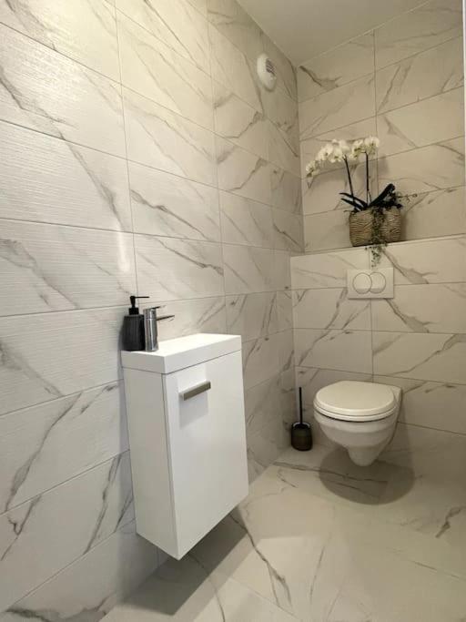 Magnifique A La Frontiere Suisse Apartment